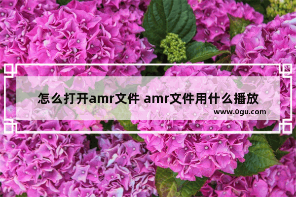 怎么打开amr文件 amr文件用什么播放器打开