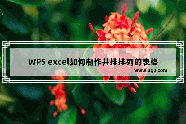 WPS excel如何制作并排排列的表格