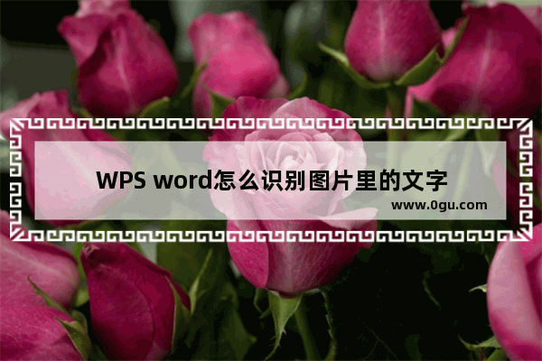 WPS word怎么识别图片里的文字