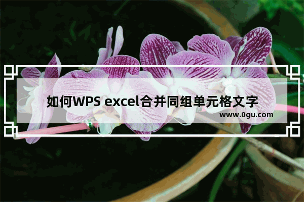 如何WPS excel合并同组单元格文字