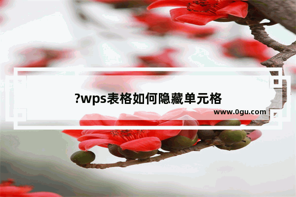 ?wps表格如何隐藏单元格