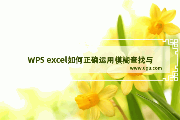 WPS excel如何正确运用模糊查找与精确查找