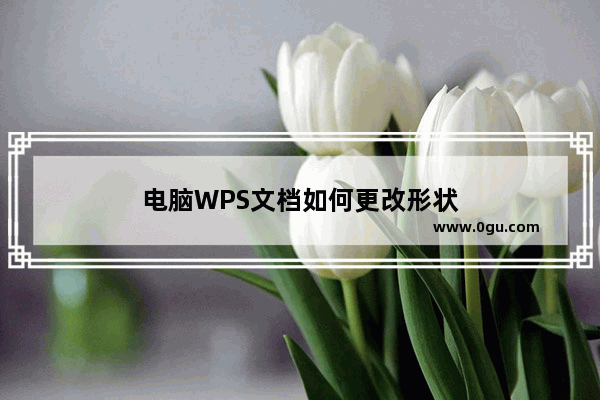 电脑WPS文档如何更改形状