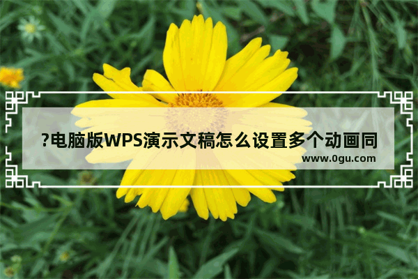 ?电脑版WPS演示文稿怎么设置多个动画同时播放