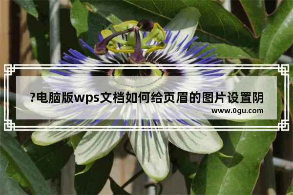 ?电脑版wps文档如何给页眉的图片设置阴影