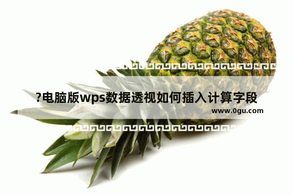 ?电脑版wps数据透视如何插入计算字段