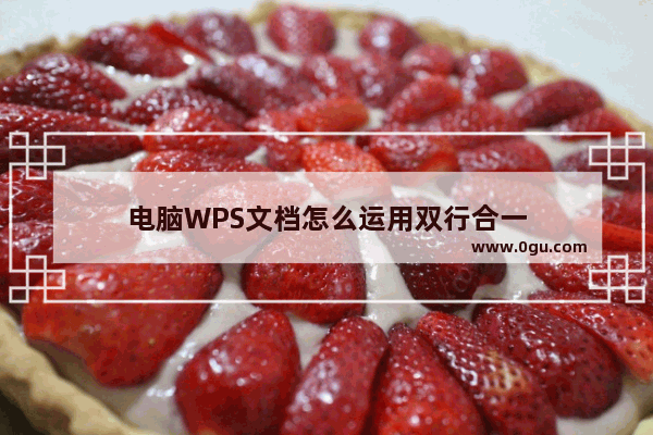 电脑WPS文档怎么运用双行合一