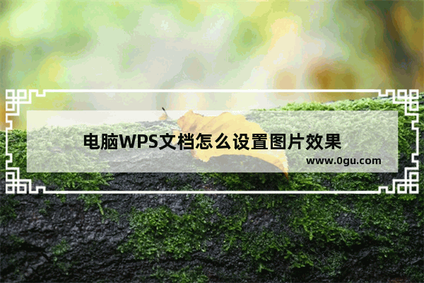 电脑WPS文档怎么设置图片效果