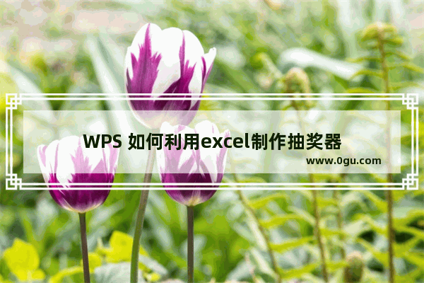 WPS 如何利用excel制作抽奖器