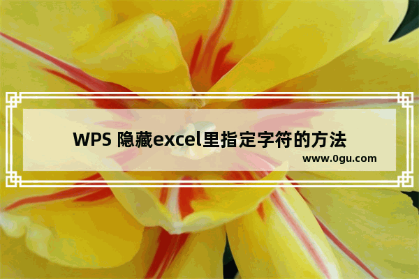 WPS 隐藏excel里指定字符的方法