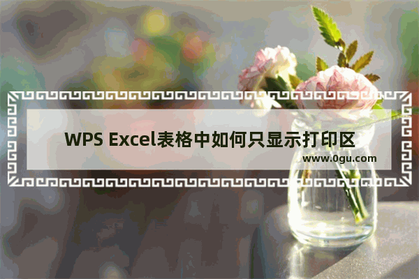 WPS Excel表格中如何只显示打印区域