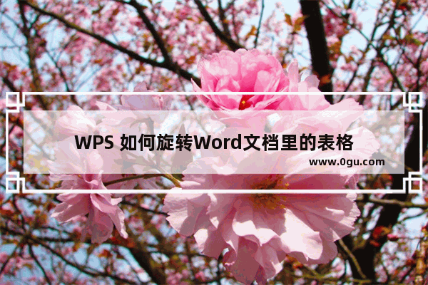 WPS 如何旋转Word文档里的表格