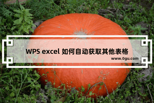 WPS excel 如何自动获取其他表格数据