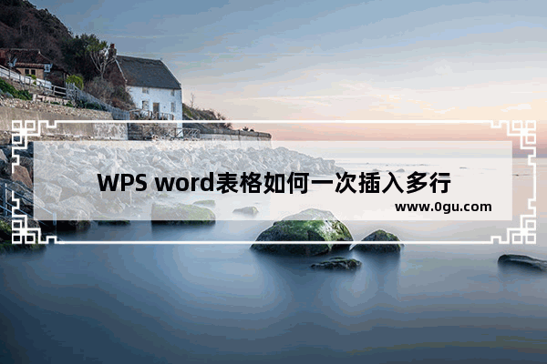 WPS word表格如何一次插入多行