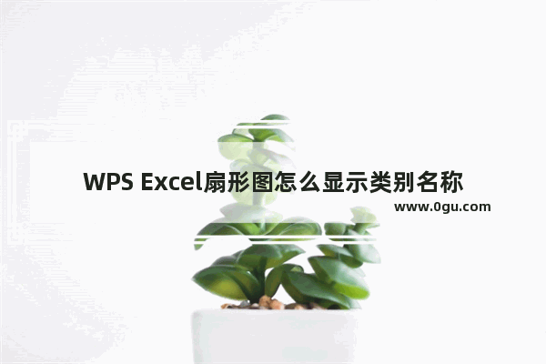 WPS Excel扇形图怎么显示类别名称和百分比 WPS Excel饼图设置显示类别名称和百分比的方法