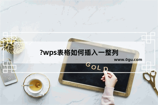 ?wps表格如何插入一整列