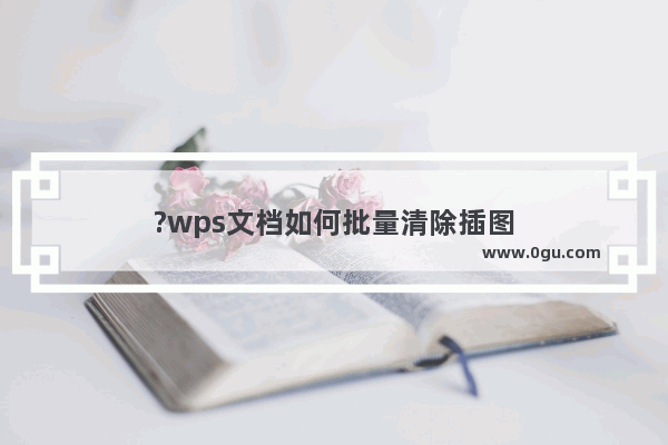 ?wps文档如何批量清除插图