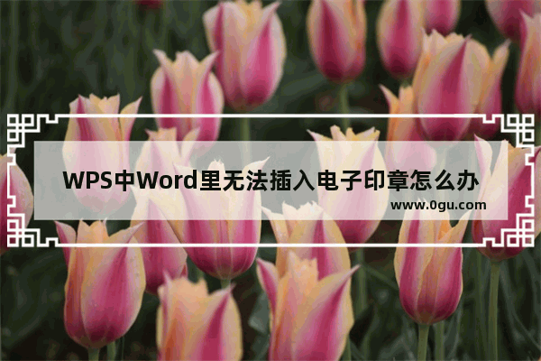 WPS中Word里无法插入电子印章怎么办