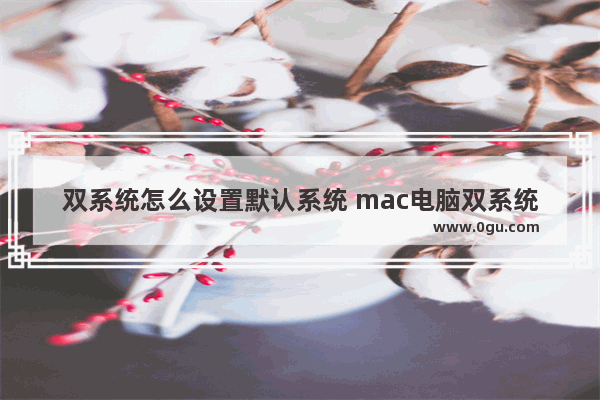 双系统怎么设置默认系统 mac电脑双系统怎么设置默认系统