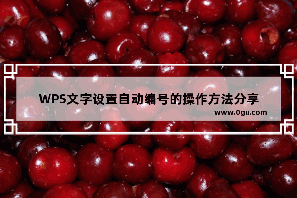 WPS文字设置自动编号的操作方法分享