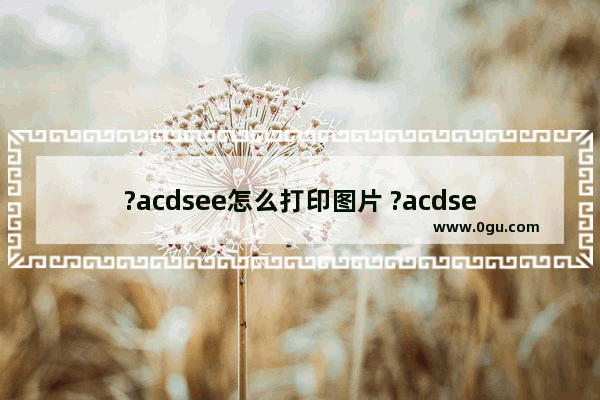 ?acdsee怎么打印图片 ?acdsee打印图片的方法