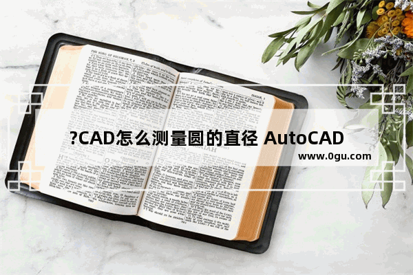 ?CAD怎么测量圆的直径 AutoCAD中测量圆形的直径的方法教程