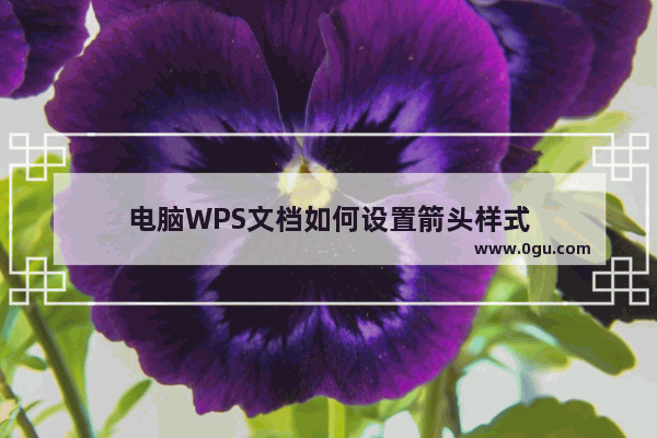 电脑WPS文档如何设置箭头样式