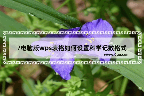 ?电脑版wps表格如何设置科学记数格式