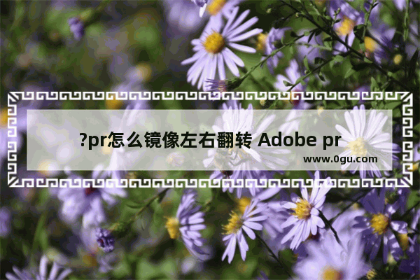 ?pr怎么镜像左右翻转 Adobe premiere镜像翻转的方法教程