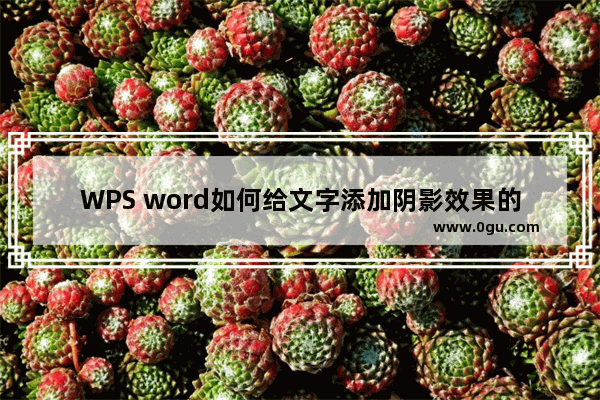 WPS word如何给文字添加阴影效果的方法