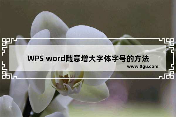 WPS word随意增大字体字号的方法