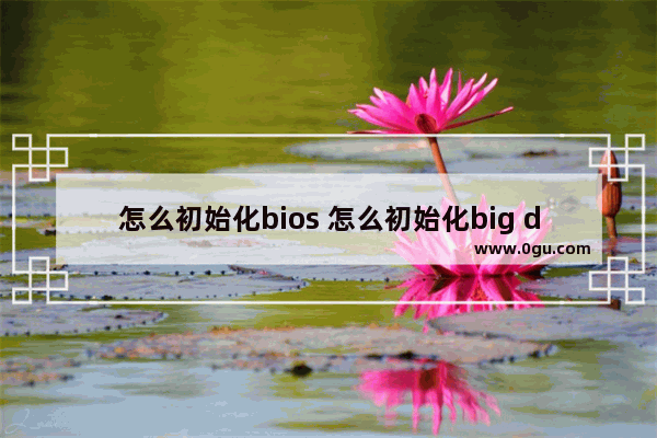 怎么初始化bios 怎么初始化big decimal数组长度和值全部为0