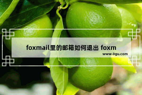 foxmail里的邮箱如何退出 foxmail邮箱账号退出登录的方法