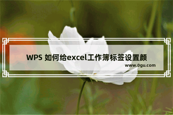 WPS 如何给excel工作簿标签设置颜色以便区分