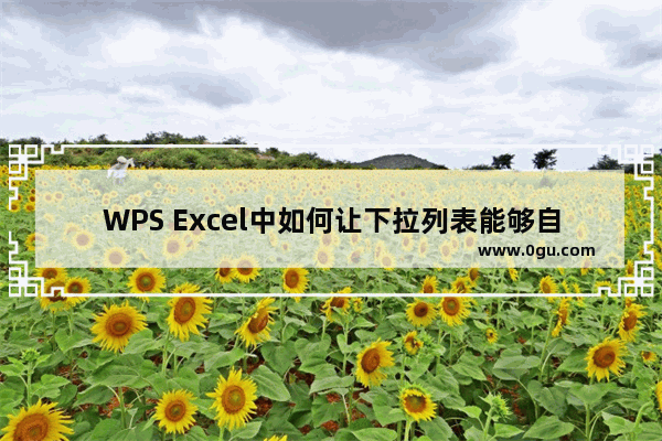 WPS Excel中如何让下拉列表能够自动更新