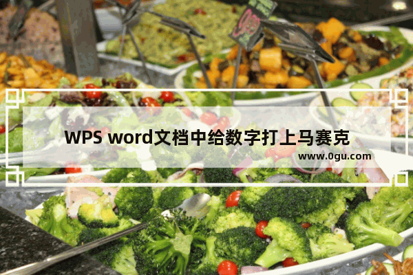 WPS word文档中给数字打上马赛克