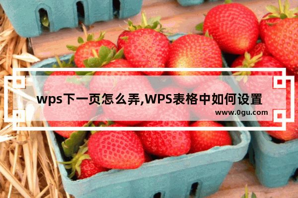 wps下一页怎么弄,WPS表格中如何设置下一页