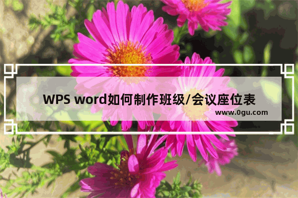 WPS word如何制作班级/会议座位表