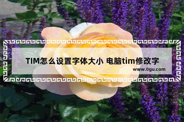 TIM怎么设置字体大小 电脑tim修改字体大小的方法