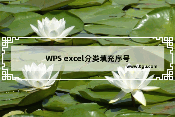 WPS excel分类填充序号