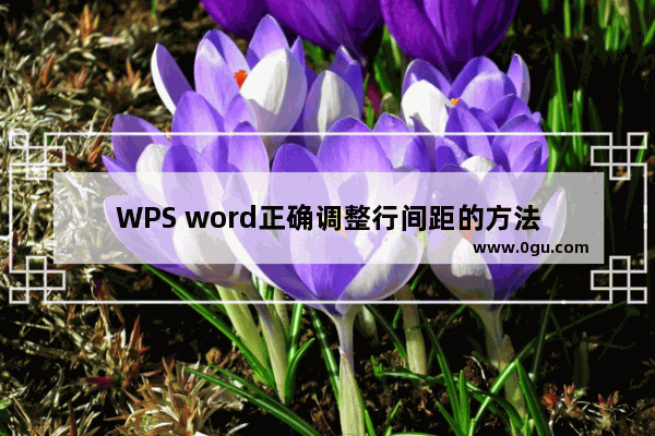 WPS word正确调整行间距的方法