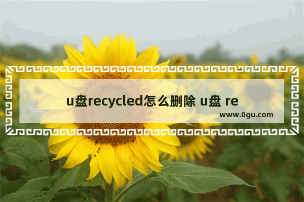 u盘recycled怎么删除 u盘 recyclebin