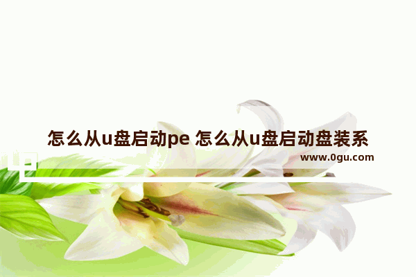 怎么从u盘启动pe 怎么从u盘启动盘装系统