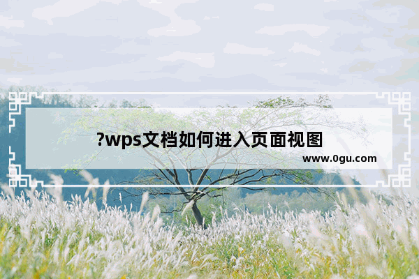 ?wps文档如何进入页面视图