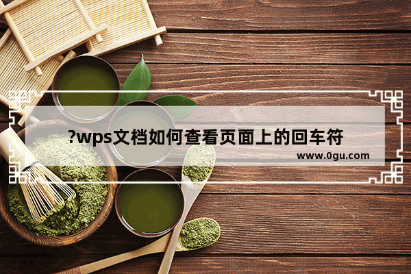 ?wps文档如何查看页面上的回车符