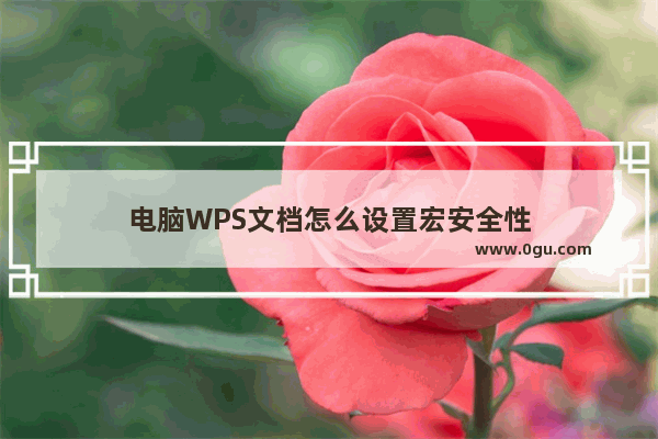 电脑WPS文档怎么设置宏安全性