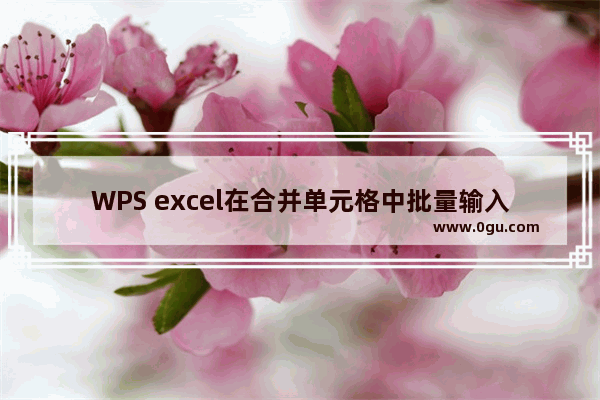 WPS excel在合并单元格中批量输入连续序号