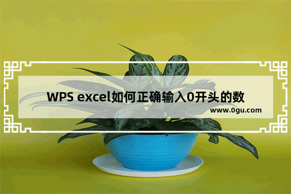 WPS excel如何正确输入0开头的数据