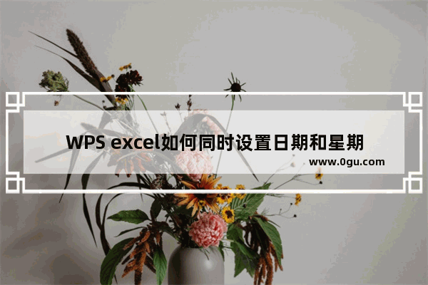 WPS excel如何同时设置日期和星期