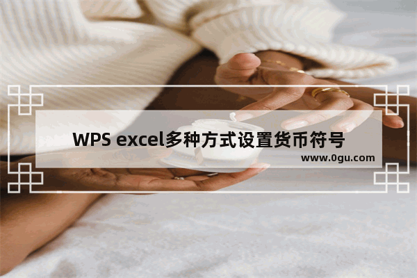 WPS excel多种方式设置货币符号